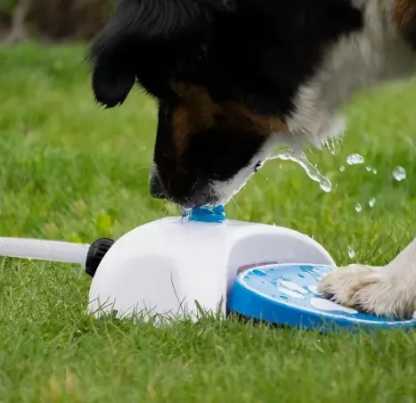 26PTL22 Máquina de pisar agua para mascotas